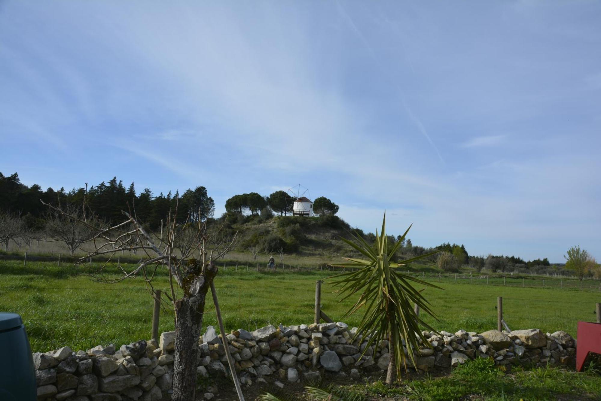 Casa Da Lima - Nestled In Nature On Santiago'S And Fatima'S Path, Close To Coimbra And Rabacal Alvorge Exterior foto