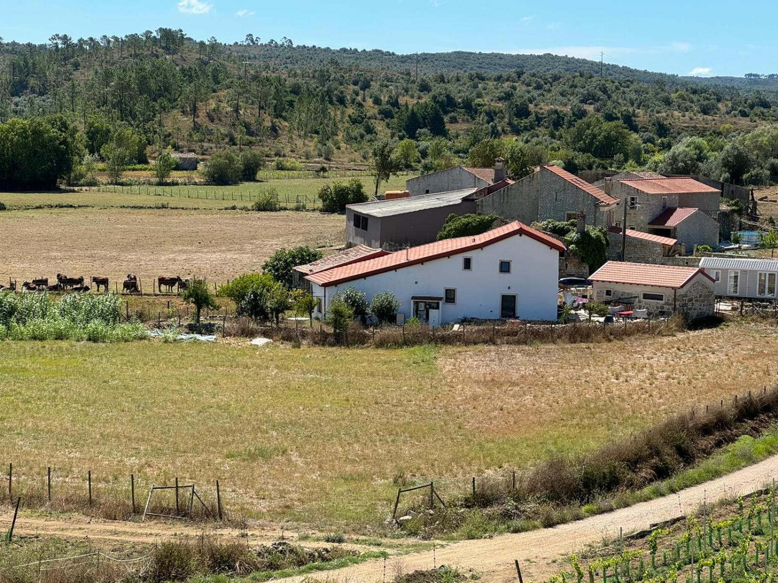 Casa Da Lima - Nestled In Nature On Santiago'S And Fatima'S Path, Close To Coimbra And Rabacal Alvorge Exterior foto