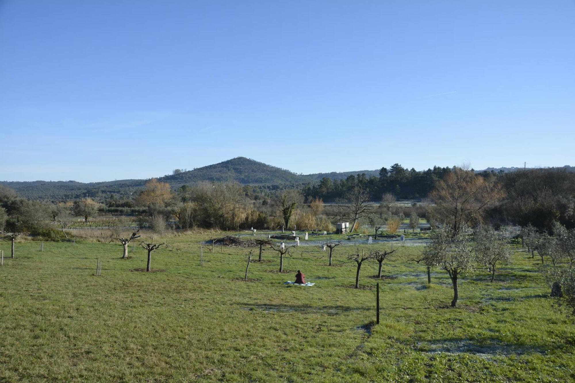 Casa Da Lima - Nestled In Nature On Santiago'S And Fatima'S Path, Close To Coimbra And Rabacal Alvorge Exterior foto